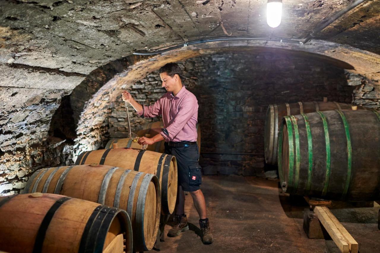 Ferienweingut Willems Oberemmel Ngoại thất bức ảnh